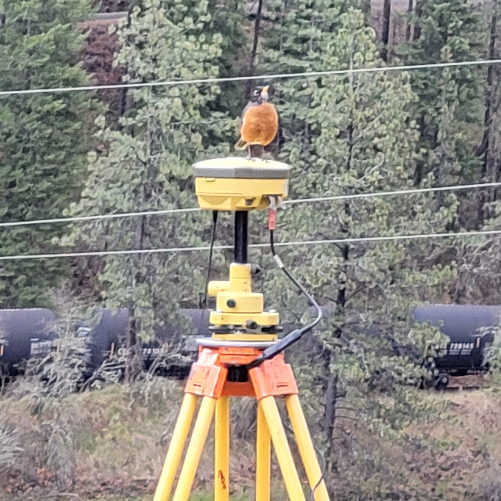 bdlandsurveying.com